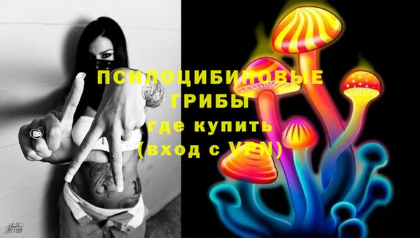 бошки Алзамай