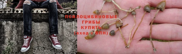 ALPHA-PVP Алексин