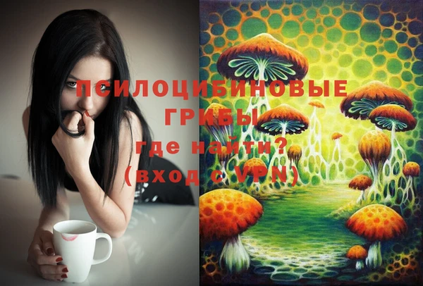бошки Алзамай