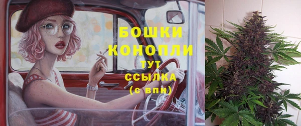 бошки Алзамай