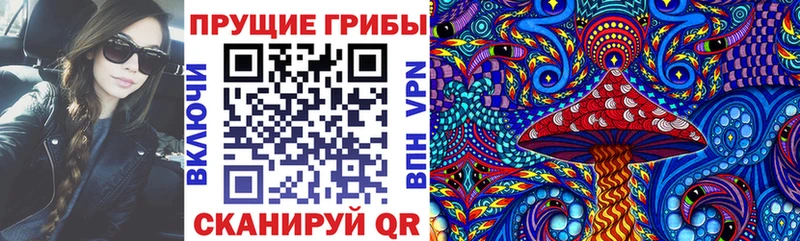 сколько стоит  Пыталово  Псилоцибиновые грибы GOLDEN TEACHER 